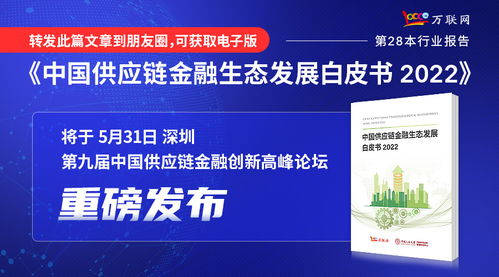 实业投资 大消费领域的坚实基石与未来机遇