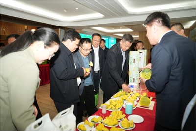 农视网投资管理 农业媒体与资本融合的创新路径