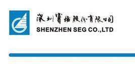 深赛格最新动态解析与未来投资展望