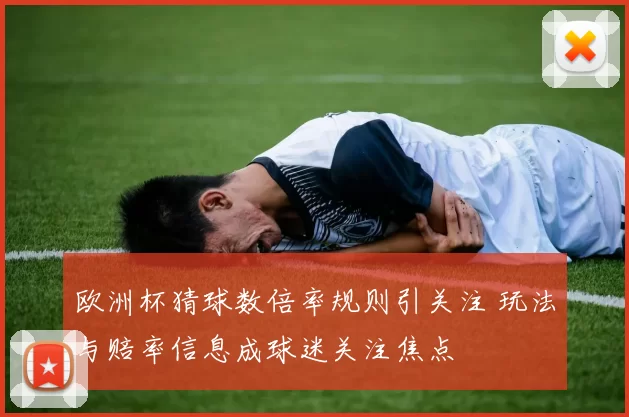 欧洲杯猜球数倍率规则引关注 玩法与赔率信息成球迷关注焦点