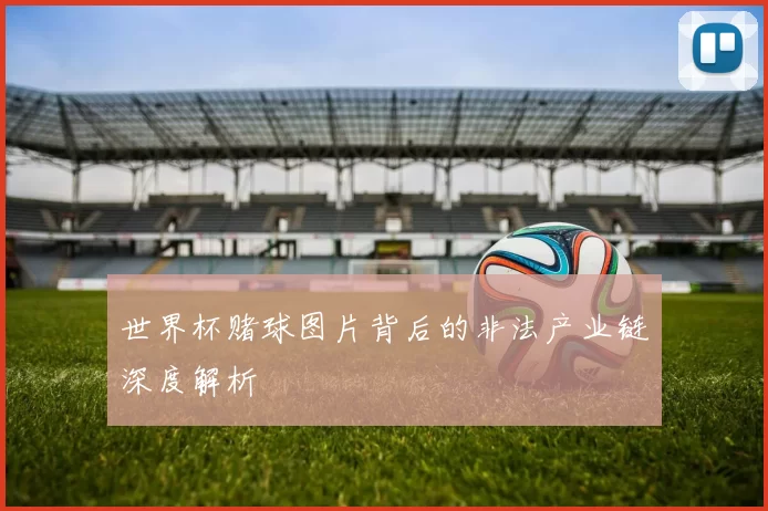 世界杯赌球图片背后的非法产业链深度解析