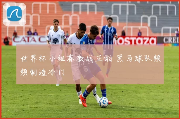 世界杯小组赛激战正酣 黑马球队频频制造冷门