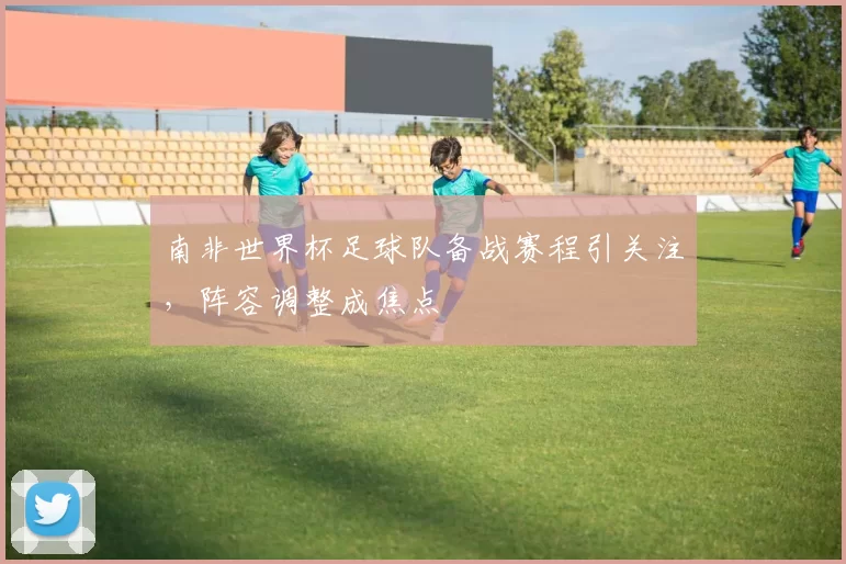 南非世界杯足球队备战赛程引关注,阵容调整成焦点
