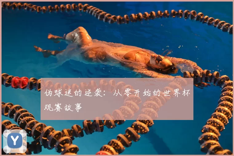 伪球迷的逆袭:从零开始的世界杯观赛故事