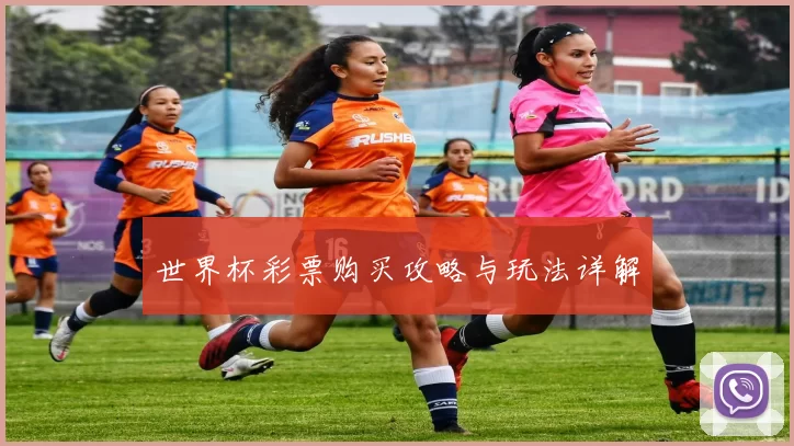 世界杯彩票购买攻略与玩法详解