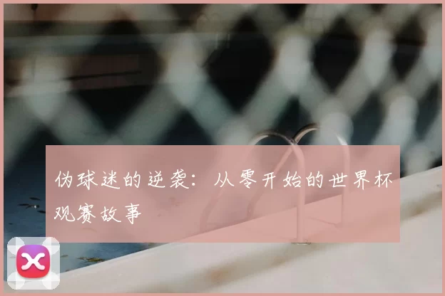 伪球迷的逆袭:从零开始的世界杯观赛故事