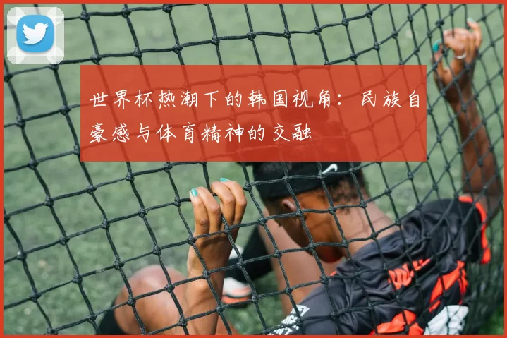 世界杯热潮下的韩国视角:民族自豪感与体育精神的交融