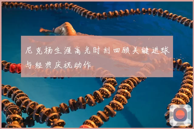 尼克杨生涯高光时刻回顾关键进球与经典庆祝动作