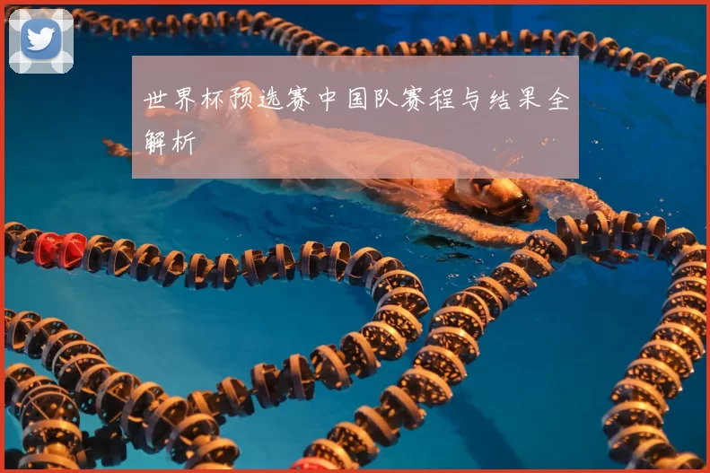 世界杯预选赛中国队赛程与结果全解析
