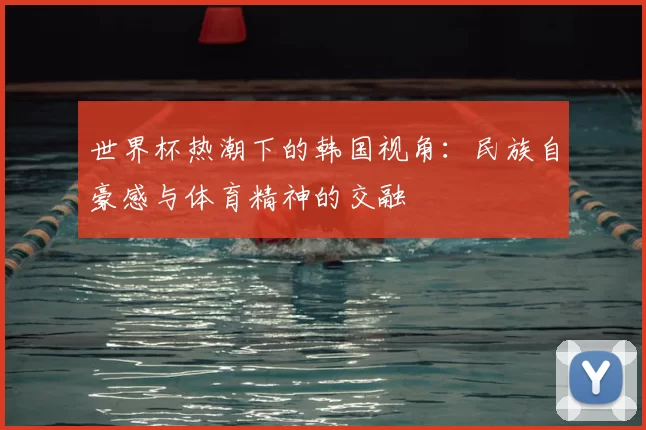 世界杯热潮下的韩国视角:民族自豪感与体育精神的交融