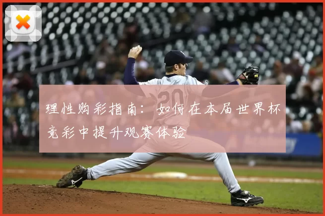 理性购彩指南：如何在本届世界杯竞彩中提升观赛体验