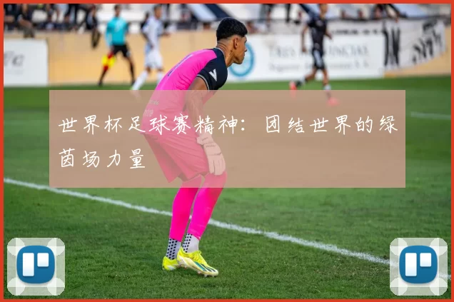 世界杯足球赛精神:团结世界的绿茵场力量