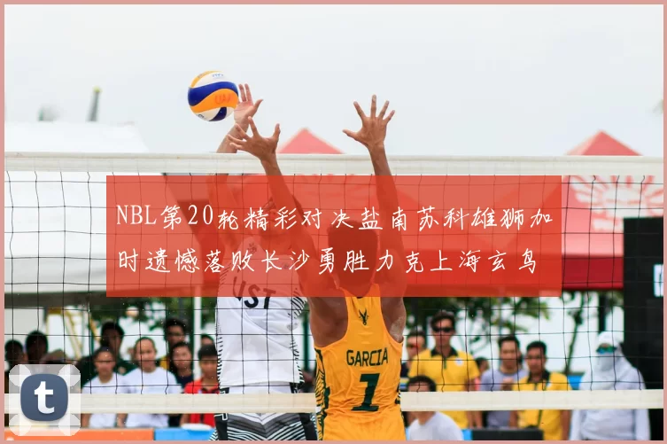 NBL第20轮精彩对决盐南苏科雄狮加时遗憾落败长沙勇胜力克上海玄鸟