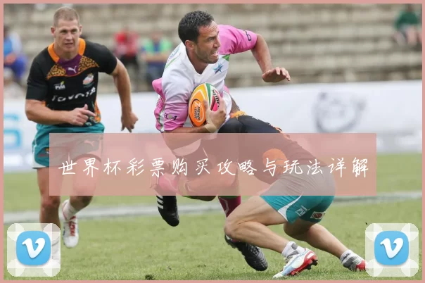 世界杯彩票购买攻略与玩法详解