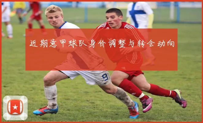 近期意甲球队身价调整与转会动向
